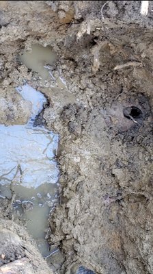 Mainline Breakage and Root Obstruction Repair - View the YouTube video for a nice recap of the work performed. https://www.youtube.com/watch?v=hQIBY9avf7w

We repaired a severely root compromised/collapsed mainline for a customer. The mainline was collapsed and roots made a home inside blocking all but small bits of water flow. The customer was unable to flush their toilet or use the shower without a backup occurring. We found this issue with our hi-tech camera and locator and were able to very accurately dig to find the compromised mainline, ensuring the customer's yard wasn't needlessly destroyed by the excavation team.

The customer was extremely happy at the end of the day!!

americanserviers.com

https://www.facebook.com/americanservicers

https://www.linkedin.com/company/american-servicers