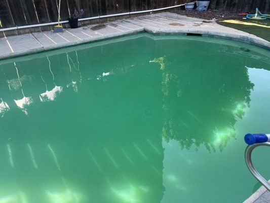 More green! - A personal friend dispatched me to handle mustard algae and a green pool. Mission accomplished! More green! - A personal friend dispatched me to handle mustard algae and a green pool. Mission accomplished!