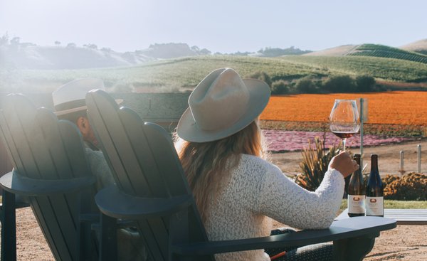 Visit Us - Enjoy a tasting flight and the stunning views of our vineyards and working farm from the newly renovated tasting room and outdoor spaces. Visit Us - Enjoy a tasting flight and the stunning views of our vineyards and working farm from the newly renovated tasting room and outdoor spaces.