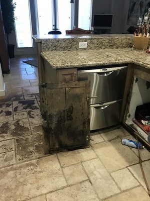 La Quinta - There was a simple leak in the supply line under the kitchen sink.  The owners were away on vacation and this leak was not discovered quickly and therefore created extensive damages throughout the home.  A great way to prevent this from occurring is to turn your water off at the shut off to your home whenever you leave for an extended period of time.  Test your shut off and see that it is working properly, if not call us and we can install a new one for you to give you the peace of mind you need.