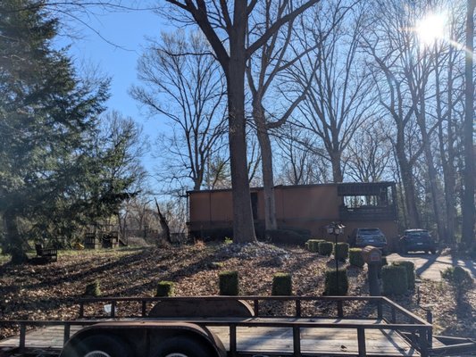 Leaf Cleanup - A large leaf cleanup we did for a customer. Leaf Cleanup - A large leaf cleanup we did for a customer.