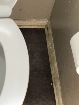 Bathroom deep clean 🧽 - Bathroom deep clean Bathroom deep clean 🧽 - Bathroom deep clean