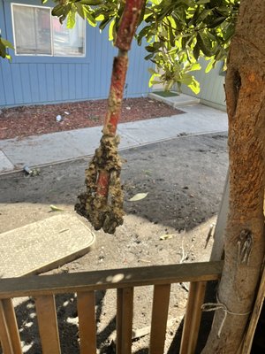 Clogged - 24 hrs service calls Clogged - 24 hrs service calls