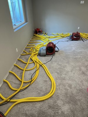 Sump Pump Failure in Finished Carpeted Basement in Mounds View - A failed sump pump led to significant flooding in the finished basement. We quickly established containment, removed the damaged carpet pad, and employed non-invasive drying techniques on the walls by strategically popping holes. Utilizing a negative air machine, dehumidifier, and multiple fans, we efficiently dried both the carpet and affected walls, preventing further damage. We also performed reconstruction which included carpet cleaning, installing new carpet pad and baseboard, repairing drywall and reattaching lifted carpet. Sump Pump Failure in Finished Carpeted Basement in Mounds View - A failed sump pump led to significant flooding in the finished basement. We quickly established containment, removed the damaged carpet pad, and employed non-invasive drying techniques on the walls by strategically popping holes. Utilizing a negative air machine, dehumidifier, and multiple fans, we efficiently dried both the carpet and affected walls, preventing further damage. We also performed reconstruction which included carpet cleaning, installing new carpet pad and baseboard, repairing drywall and reattaching lifted carpet.
