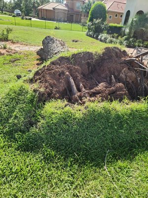 ROOT BALL REMOVAL. - PECAN TREE WAS UPROOTED BY HURRICANE WE GOT CALL OUT TO REMOVE WHAT WAS LEFT OF THE TREE AND ROOT BALL . ROOT BALL REMOVAL. - PECAN TREE WAS UPROOTED BY HURRICANE WE GOT CALL OUT TO REMOVE WHAT WAS LEFT OF THE TREE AND ROOT BALL .