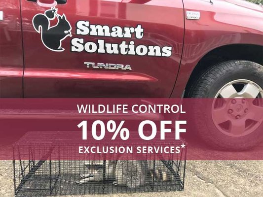 Wildlife Control Services - Here is what makes us different from our competition:
~We take a holistic, long-term approach to wildlife exclusion- we not only get them out- we keep them out! Our inspections are very detailed and our exclusion work is guaranteed.
~We use safe practices, safe products, and humane methods of wildlife exclusion.
~We have more than 20 years of construction experience.
~Wildlife biologist on staff that are nationally trained, and certified wildlife control operators Wildlife Control Services - Here is what makes us different from our competition:
~We take a holistic, long-term approach to wildlife exclusion- we not only get them out- we keep them out! Our inspections are very detailed and our exclusion work is guaranteed.
~We use safe practices, safe products, and humane methods of wildlife exclusion.
~We have more than 20 years of construction experience.
~Wildlife biologist on staff that are nationally trained, and certified wildlife control operators