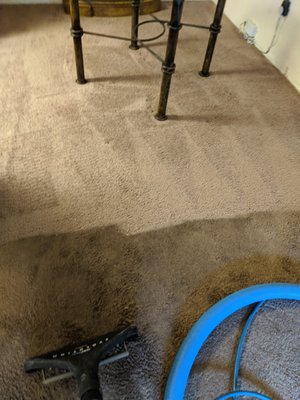 Residential Carpet Cleaning - Before and after photos Residential Carpet Cleaning - Before and after photos