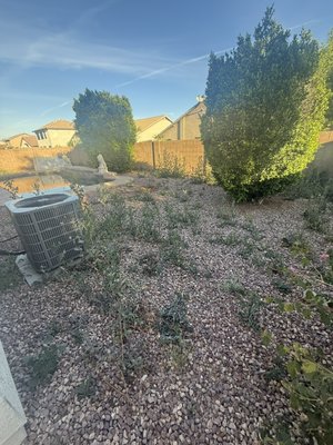 yard cleaning - This job involved removing weeds, trimming trees, removing all the trash, and leaving it very clean. yard cleaning - This job involved removing weeds, trimming trees, removing all the trash, and leaving it very clean.