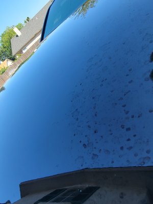 Scratch, Scuff, and Hard Water Spot Removal - Have a busy schedule but are in need of paint correction? Give Prevail Mobile Detail a call! We'll service your vehicle while you're at work Scratch, Scuff, and Hard Water Spot Removal - Have a busy schedule but are in need of paint correction? Give Prevail Mobile Detail a call! We'll service your vehicle while you're at work