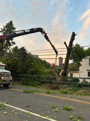 Crane Removals - When using a crane it allows us to remove large, bulky and heavy sections of the tree carefully to the ground. A cranes boom also known as the arm can extend and move to reach the tallest of trees.

Call or Text: 19086994736