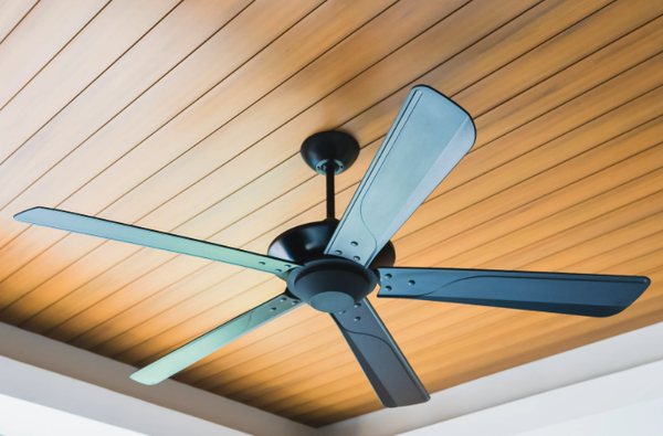CEILING FAN & LIGHT FIXTURE INSTALLATION - We provide expert ceiling fan and chandelier installation for homes and businesses, ensuring safe wiring, secure mounting, and flawless operation. Our skilled technicians handle a range of fixtures, from modern ceiling fans to elegant chandeliers, offering reliable service and attention to detail on every installation. Enjoy peace of mind and beautiful results with our trusted installation team. CEILING FAN & LIGHT FIXTURE INSTALLATION - We provide expert ceiling fan and chandelier installation for homes and businesses, ensuring safe wiring, secure mounting, and flawless operation. Our skilled technicians handle a range of fixtures, from modern ceiling fans to elegant chandeliers, offering reliable service and attention to detail on every installation. Enjoy peace of mind and beautiful results with our trusted installation team.