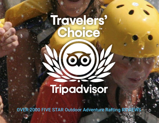 2000+ 5 Star Reviews! - 2000+ 5 Star Reviews! 2000+ 5 Star Reviews! - 2000+ 5 Star Reviews!
