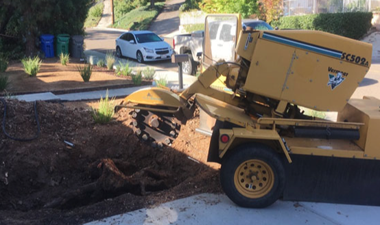 Stump Removals, San Diego County - All Access Tree Care has the expertise and equipment to remove tree stumps of any size from residential and commercial properties throughout San Diego County, CA