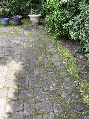 Fonda rd. - This home required cleaning of siding and pavers. As well as re-sanding the pavers and alge removal. Beautiful old home made like new again.
