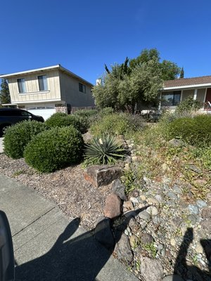 Bush Trimming – Fairfield & Suisun City - Bush trimming service completed in Fairfield, Suisun, and Vacaville, CA.
This project included trimming and shaping bushes only to improve the overall appearance and keep the landscape clean and well-maintained.
No lawn mowing was performed—this job focused strictly on detailed bush trimming for a neat, professional finish.