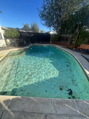 Windy day - We do what ever it take to make your pool look perfect Windy day - We do what ever it take to make your pool look perfect