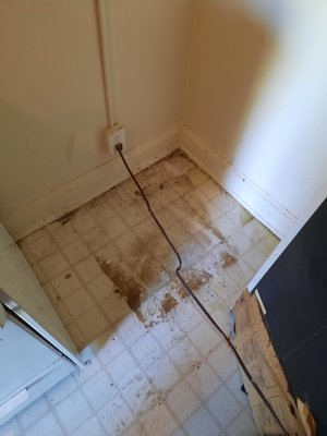 Deep Cleaning Of Kitchen - From dust to sparkle I take pride in satisfaction of my customers