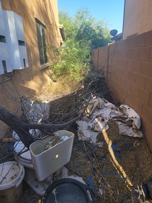 Yard Clean Up Part 1 - Happy to help this family prepare the back yard for fall. Lots of yard waste and household trash.