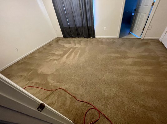 Deep scrub Carpet cleaning!! - Let us be the Last Carpet company you ever have to CALL!! Here at Terry & Son’s we pride our selves on family since we are family owned and operated check out the picture of our google guarantee we are a google sponsored company!!!! Contact us now we are booking up fast!!! 4438261517 or message us Deep scrub Carpet cleaning!! - Let us be the Last Carpet company you ever have to CALL!! Here at Terry & Son’s we pride our selves on family since we are family owned and operated check out the picture of our google guarantee we are a google sponsored company!!!! Contact us now we are booking up fast!!! 4438261517 or message us