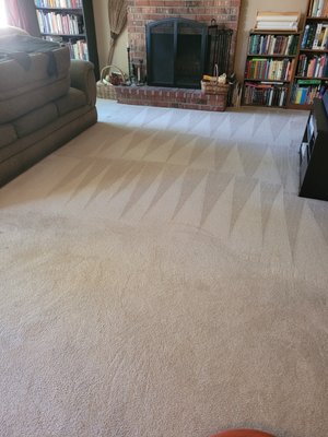 carpet Cleaning comercial and residential services - steam carpet cleaning service if you are looking to clean your carpets please call us today we are here to help you good service good price please call at 775 351-7591