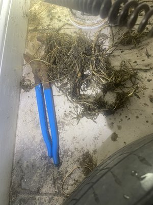 Clogged drain - Customer stated that they were experiencing gurgling and a clogged toilet. We pulled the toilet and snaked to city side to unclog the drain. Clogged drain - Customer stated that they were experiencing gurgling and a clogged toilet. We pulled the toilet and snaked to city side to unclog the drain.