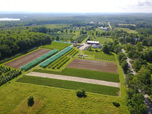 Visit overview - There is so much to discover here during the five month pick your own season. Fruit picking is available from June through the end of October. Visit overview - There is so much to discover here during the five month pick your own season. Fruit picking is available from June through the end of October.