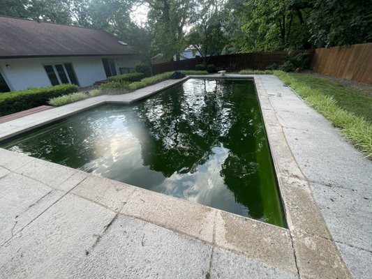 Another successful green to clean pool - This was a pool that was opened late in the season and as a result it was completely green. Now it’s ready for enjoyment!
If you have a green pool let us get you ready for the rest of the summer!!! Another successful green to clean pool - This was a pool that was opened late in the season and as a result it was completely green. Now it’s ready for enjoyment!
If you have a green pool let us get you ready for the rest of the summer!!!