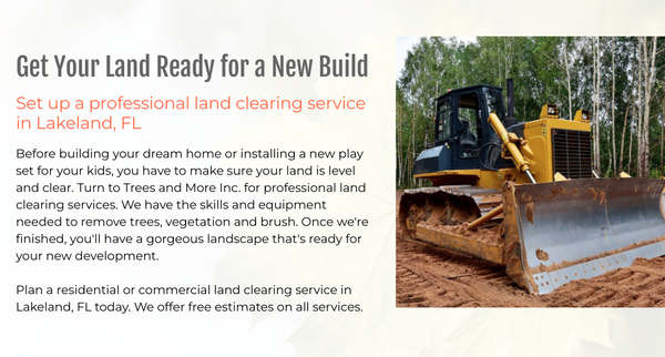 Land Clearing & Tree Removal Services! - Trees and More Inc. is your source for residential and commercial tree removal services. Whether you want to get rid of an unwanted tree or you need an emergency storm cleanup, we can help. We can even trim or remove trees growing too close to power linesBefore building your dream home or installing a new play set for your kids, you have to make sure your land is level and clear. Turn to Trees and More Inc. for professional land clearing services. We have the skills and equipment needed to remove trees, vegetation and brush. Once we're finished, you'll have a gorgeous landscape that's ready for your new development.
Plan a residential or commercial land clearing service in Lakeland, FL today. We offer free estimates on all services. Land Clearing & Tree Removal Services! - Trees and More Inc. is your source for residential and commercial tree removal services. Whether you want to get rid of an unwanted tree or you need an emergency storm cleanup, we can help. We can even trim or remove trees growing too close to power linesBefore building your dream home or installing a new play set for your kids, you have to make sure your land is level and clear. Turn to Trees and More Inc. for professional land clearing services. We have the skills and equipment needed to remove trees, vegetation and brush. Once we're finished, you'll have a gorgeous landscape that's ready for your new development.
Plan a residential or commercial land clearing service in Lakeland, FL today. We offer free estimates on all services.