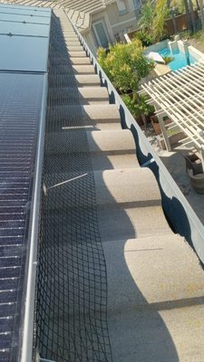 Bird Proofing Solar panels and roof ridges. - Photos of Bird Proofing Solar panels and Roof ridges.