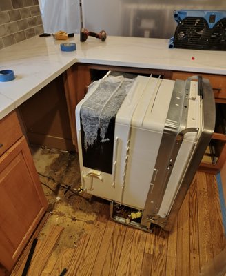Dishwasher Leak - Customer was experiencing hardwood buckling resulting from a dishwasher leak.