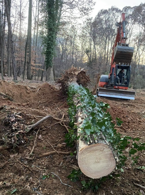 Recent Jobs - Irrigation, Drainage repair, Landscape , Tree Removal Recent Jobs - Irrigation, Drainage repair, Landscape , Tree Removal