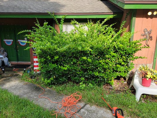 Landscaping - From mowing, weed eating, trimming, edging, and blowing your yard to weeding and laying mulch in your garden, We Surv Jacksonville is here to help with all your landscaping needs! Landscaping - From mowing, weed eating, trimming, edging, and blowing your yard to weeding and laying mulch in your garden, We Surv Jacksonville is here to help with all your landscaping needs!