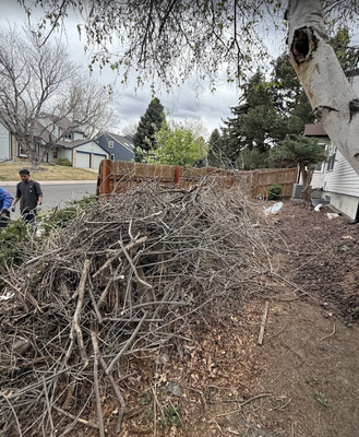 YARD CLEAN UP - this was a quick yard clean up that was done in about an hour and a half . GM solutions makes sure that your cleanups are fast and efficient as well as budget friendly. From cleaning areas to your house or to get your projects moving faster we do it all ! YARD CLEAN UP - this was a quick yard clean up that was done in about an hour and a half . GM solutions makes sure that your cleanups are fast and efficient as well as budget friendly. From cleaning areas to your house or to get your projects moving faster we do it all !