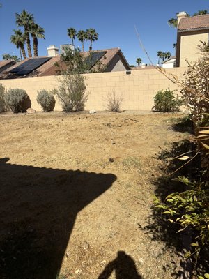Poop removal - Doo Doo Be Gone making it disappear like magic! Once a week services starting as low as $15!