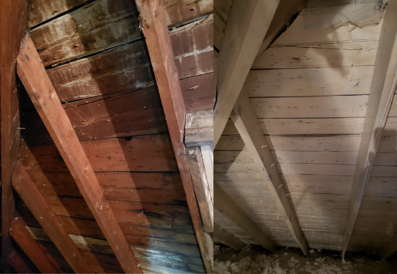 Black and white mold in attic - White and black mold throughout the attic. All mold was treated with a biocide, then sealed with an anti-microbial primer.