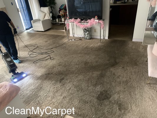 Powerful Quick Dry Carpet Cleaning-Upholstery and Stone-Tile-Hardwood-Laminate-Vinyl etc Cleaning & Sealing. - Clean My Carpet specializing in Powerful Quick Dry Carpet Cleaning, Upholstery Cleaning, Stone , Tile , Marble , Granite, Travertine , Ceramic, Hardwood, laminate, Vinyl Cleaning & Sealing.
Discover why Clean My Carpet has been awarded Top Pro year after year. We are your Trusted, Local Family Business. Call today for your free estimate 415-370-3174. Powerful Quick Dry Carpet Cleaning-Upholstery and Stone-Tile-Hardwood-Laminate-Vinyl etc Cleaning & Sealing. - Clean My Carpet specializing in Powerful Quick Dry Carpet Cleaning, Upholstery Cleaning, Stone , Tile , Marble , Granite, Travertine , Ceramic, Hardwood, laminate, Vinyl Cleaning & Sealing.
Discover why Clean My Carpet has been awarded Top Pro year after year. We are your Trusted, Local Family Business. Call today for your free estimate 415-370-3174.