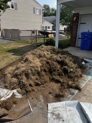 Dirt removal - Dirt removal Dirt removal - Dirt removal