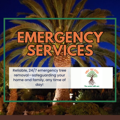 Emergency Tree Services – 24/7 Service for Your Safety and Peace of Mind - Emergency Tree Removal – 24/7 Service for Your Safety and Peace of Mind
Storms, disease, or unforeseen events can turn a healthy tree into an urgent hazard overnight. Family Tree Expert offers true 24/7 emergency tree removal services throughout Menlo Park and the Mid-Peninsula. When a tree falls unexpectedly—blocking driveways, damaging power lines, or endangering your home—our rapid-response crew is just a call away. We understand that time is critical, and you won’t wait long for our experienced, well-equipped team to arrive onsite.

Safety is at the heart of everything we do. Our emergency removal experts quickly assess the situation, secure the area, and remove downed or precarious trunks and branches using the latest techniques and equipment. We are fully insured, licensed, and prepared to handle complex removals, including emergency permits if required by the city. After removal, we provide thorough cleanup and debris hauling, working with you and (if needed) your insurance company to ensure a stress-free process from start to finish.

Our commitment goes beyond tree cutting: we advise on the health of remaining trees, recommend preventative care to reduce future risks, and focus on protecting your property value along with your immediate safety.