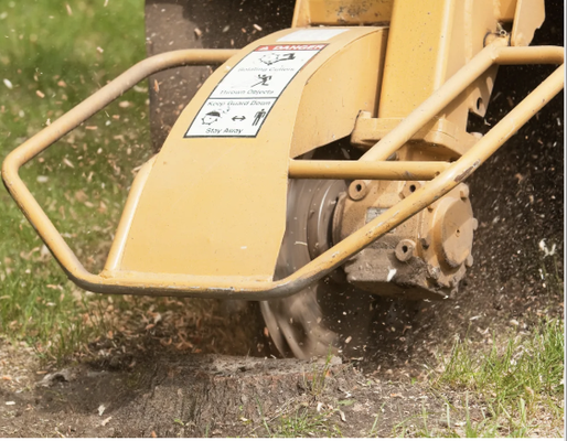 Stump Grinding - Our professional stump grinding service is designed to efficiently remove unsightly stumps from your property. Using specialized equipment, our experienced technicians will grind the stump down to below ground level, effectively eliminating any tripping hazards or obstacles in your yard. Stump grinding is a cost-effective and environmentally friendly solution, as it allows for natural decomposition of the remaining wood chips. Rest assured that our team will handle the job with precision and care, leaving your property looking clean and rejuvenated.