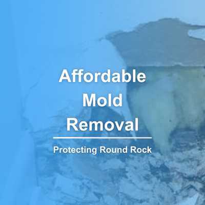 Mold Removal Services in Georgetown Home - Water Damage Repair Tech recently received a mold inspection request from a homeowner concerned about possible mold growth in their bathroom and ceiling. Upon the homeowner's inquiry for a free evaluation, our team promptly responded. During the assessment, we not only identified the visible mold but also suspected additional growth within wall cavities, hinting at prior water damage.
Collaborating closely with the homeowner, we outlined a meticulous plan of action. By employing targeted treatment strategies, we addressed the mold growth effectively without resorting to extensive demolition. This approach not only contained the affected area but also prevented any potential spread throughout the house, reassuring the family that their living spaces would soon return to normal, free from the grasp of mold. Mold Removal Services in Georgetown Home - Water Damage Repair Tech recently received a mold inspection request from a homeowner concerned about possible mold growth in their bathroom and ceiling. Upon the homeowner's inquiry for a free evaluation, our team promptly responded. During the assessment, we not only identified the visible mold but also suspected additional growth within wall cavities, hinting at prior water damage.
Collaborating closely with the homeowner, we outlined a meticulous plan of action. By employing targeted treatment strategies, we addressed the mold growth effectively without resorting to extensive demolition. This approach not only contained the affected area but also prevented any potential spread throughout the house, reassuring the family that their living spaces would soon return to normal, free from the grasp of mold.