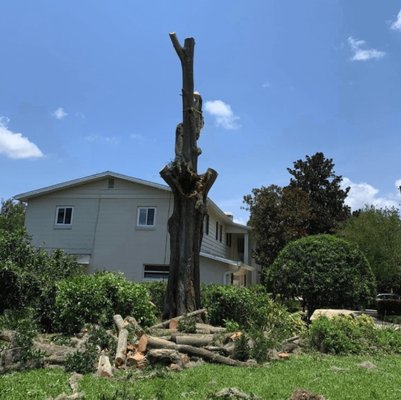 Tree Removal - Need a Tree Removed? Trust the Experts at Arbor Master Tree & Landscape 🌳💪
When it comes to tree removal, safety and precision are key. At Arbor Master, we offer professional, efficient, and affordable tree removal services to keep your property safe and beautiful. Whether it's a hazardous tree or just in the way, we’ve got you covered.
Let our certified arborists handle the hard work so you don’t have to.