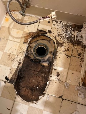 Bathroom Repair - In this project, the client faced problems with the existing vinyl floor, which had been lifted due to a faulty previous installation. During the repair process, we discovered that the toilet wax ring was improperly installed and that the plywood base was damaged. Bathroom Repair - In this project, the client faced problems with the existing vinyl floor, which had been lifted due to a faulty previous installation. During the repair process, we discovered that the toilet wax ring was improperly installed and that the plywood base was damaged.