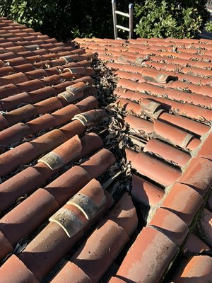 Tile Maintenance - This tile roof really needed some love.
Homeowner called in about a leak.
We quickly made our way to them and diagnosed the problem. The valleys needed to be cleaned and few tiles were broken and needed replacement. We quickly sprung into action and with 24 hours had everything taken care of at aa very affordable price.
Here at Waterproof Roofing we take pride in our quick response times and hard work. We promise our customers the highest quality customer service and really follow up every time. Tile Maintenance - This tile roof really needed some love.
Homeowner called in about a leak.
We quickly made our way to them and diagnosed the problem. The valleys needed to be cleaned and few tiles were broken and needed replacement. We quickly sprung into action and with 24 hours had everything taken care of at aa very affordable price.
Here at Waterproof Roofing we take pride in our quick response times and hard work. We promise our customers the highest quality customer service and really follow up every time.