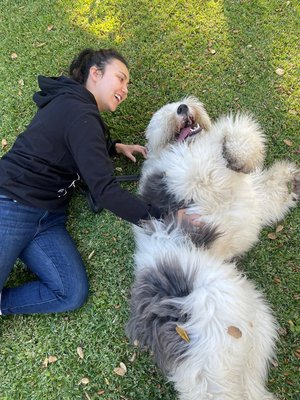 I love animals, and animals love me! - I love animals, and animals love me! I love animals, and animals love me! - I love animals, and animals love me!