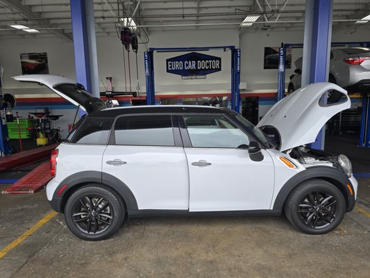 Mini Cooper Parasitic Draw Test - This Mini Cooper had an issue with dead batteries. After the local dealer gave up on the car this client came to us for a solution. Our experts performed a Parasitic Draw and Temp test to find the culprit of the battery drain. Thank fully we identified and fixed the vehicle and earned this clients trust and business moving forward. Mini Cooper Parasitic Draw Test - This Mini Cooper had an issue with dead batteries. After the local dealer gave up on the car this client came to us for a solution. Our experts performed a Parasitic Draw and Temp test to find the culprit of the battery drain. Thank fully we identified and fixed the vehicle and earned this clients trust and business moving forward.