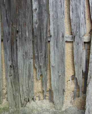 Termite control - Contact us today to learn more about our Pest Control Service. Termite control - Contact us today to learn more about our Pest Control Service.