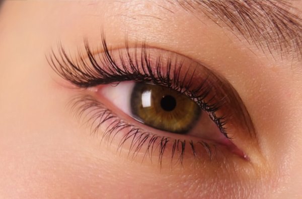 Full Classic Eyelash - A single faux premium lash is applied to each natural lash in order to achieve a "natural" classic look. They are soft to the touch, light on your eyes, and perfectly natural looking. Full Classic Eyelash - A single faux premium lash is applied to each natural lash in order to achieve a "natural" classic look. They are soft to the touch, light on your eyes, and perfectly natural looking.