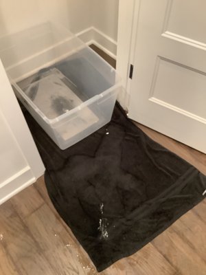 Emergency Pipe Leak - We had an emergency call from a customer who moved into a 1 year old home that was experiencing a large amount of water coming from the ceiling. We were able to dispatch one of our teams out quickly and when they arrived at the house, they found water damage on first floor. After pinpointing where they believed they leak to come from they opened up the drywall and located the broken tee behind a wall on second floor. Our team cut that section out and installed a new pipe and new fittings. They turned the water back on to check for leaks and there were none. Emergency Pipe Leak - We had an emergency call from a customer who moved into a 1 year old home that was experiencing a large amount of water coming from the ceiling. We were able to dispatch one of our teams out quickly and when they arrived at the house, they found water damage on first floor. After pinpointing where they believed they leak to come from they opened up the drywall and located the broken tee behind a wall on second floor. Our team cut that section out and installed a new pipe and new fittings. They turned the water back on to check for leaks and there were none.