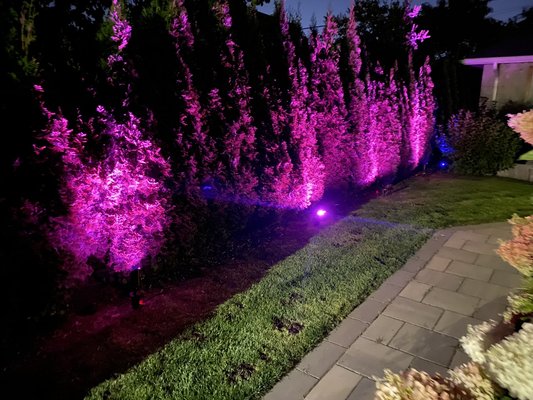 Colour changing Landscape Lighting Installation - Cast brass colour changing landscape lighting installation