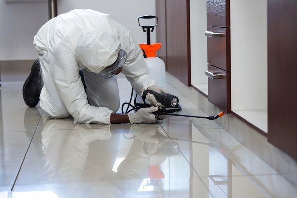 Treatment - We apply an initial treatment to the interior and exterior of your house to knock out active pests and prevent new infestations. We take the time necessary to treat your home thoroughly. Treatment - We apply an initial treatment to the interior and exterior of your house to knock out active pests and prevent new infestations. We take the time necessary to treat your home thoroughly.